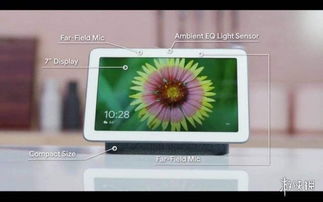 時代周刊 2018十大電子產品 xbox無障礙手柄第一